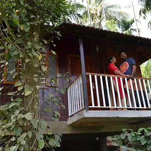 little-home-resort.kerala-hotels.net/